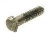 Wheel Bolt:013 602