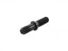 Wheel Bolt:03.296.17.24.0