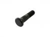 Wheel Bolt:210 18 491