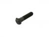 Wheel Bolt:0121302