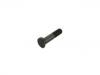 Wheel Bolt Wheel Bolt:017.102-00