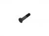 Radbolzen Wheel Bolt:017.138-00